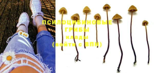 шишки Богородицк
