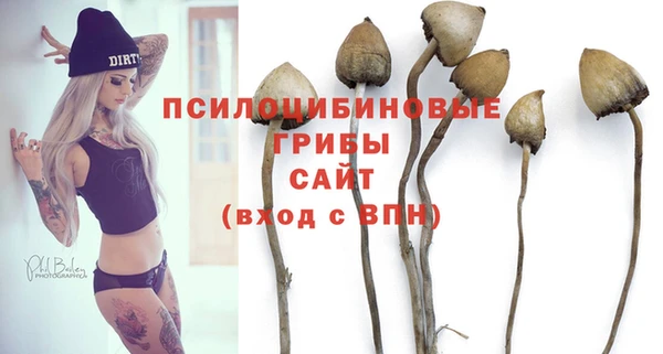 apvp Богородск