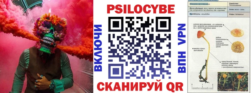 Псилоцибиновые грибы Cubensis  Купить  Верхний Тагил 